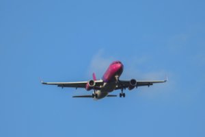 „Ryanair“ ir „Wizz Air“ britų akcininkai nuo sausio 1-osios neteks balso teisės