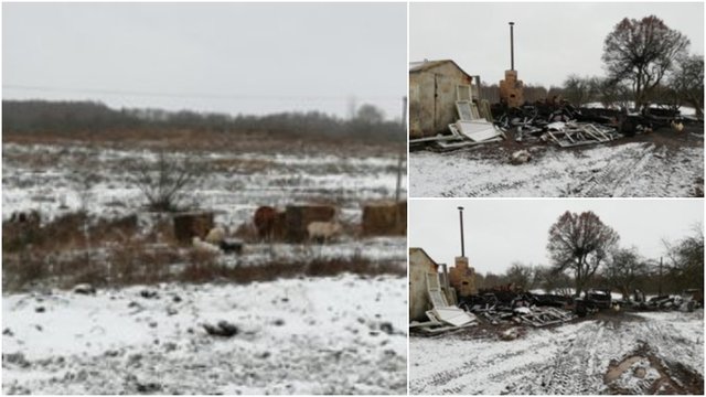 Kalėdų nakties tragedija Ignalinos rajone: 13 vaikų turinčios šeimos namus pasiglemžė ugnis