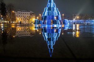 Ant Vilniaus Katedros eglės lipęs jaunuolis susilaukė pareigūnų dėmesio