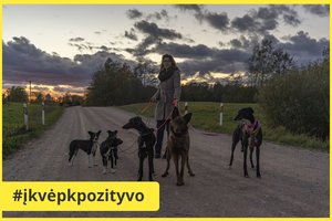 Jaunai emigrantų porai Rokiškio rajone įsigyti kiauri trobesiai – lyg tvirtovė: laimingi, nes laisvi