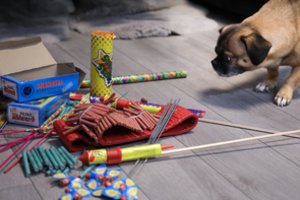 Patarimai, kaip apsaugoti augintinius nuo fejerverkų trenksmo ir streso šventiniu periodu