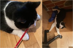 Vos 8 mėnesių Misūris skelbia: ne vietoje palikti daiktai bus paimti