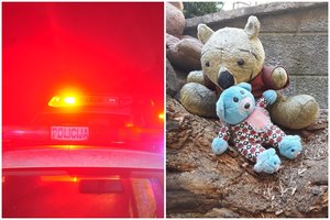 Kauno policija ieško pagrobto ir jau iš Lietuvos išvežto dvimečio vaiko