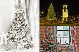 Lrytas.lt skaitytojai išrinko gražiausias Kalėdų eglutes: rekordinis dalyvių ir balsuotojų skaičius