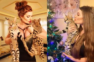 Kretingiškė dėl egzotiškų kačių atsisakė vyrų ir automobilio