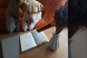 Neapsigaukite: vienas žvilgsnis šalin ir namuose jau įvesta Hadžio tvarka