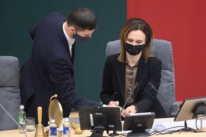 V. Čmilytė-Nielsen: nuotolinis Seimo posėdis galėtų vykti kitą savaitę