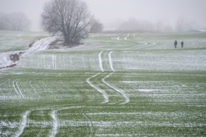 Sausio 1 d. įsigaliojo nauji žemės verčių žemėlapiai: vienur sklypų kaina mažėjo, kitur – didėjo