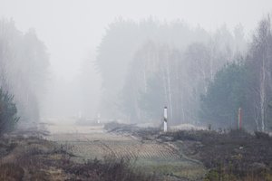 Neteisėtai iš Baltarusijos patekę migrantai pasiprašė prieglobsčio Lietuvoje