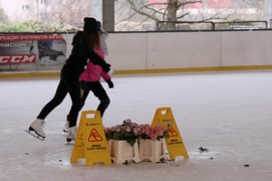 Nenorėdamas paklusti naujiems apribojimams, vyras ledo areną pavertė gėlių parduotuve