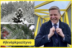 Paprasta, bet originali Vilniaus mero idėja: sostinėje iškils vienintelis Kalėdų miškas pasaulyje