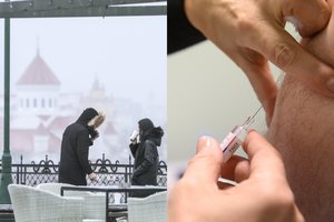 Vakcinos įtaka: specialistai prognozuoja, kada sugrįšime į darbovietes