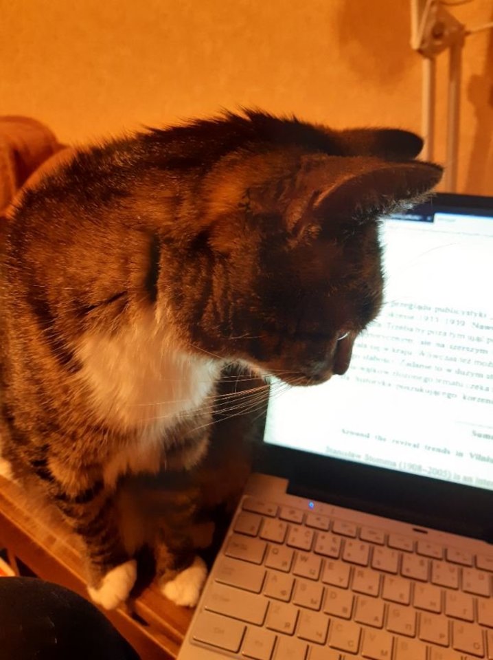 Silmė – neįtikėtinai „kalbi“ katė, be perstojo komentuojanti šeimos būtį ir buitį.<br>Skaitytojos Reginos nuotr.