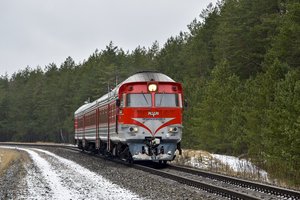 Vyriausybė raginama teisiškai įtvirtinti Girulių miško apsaugą