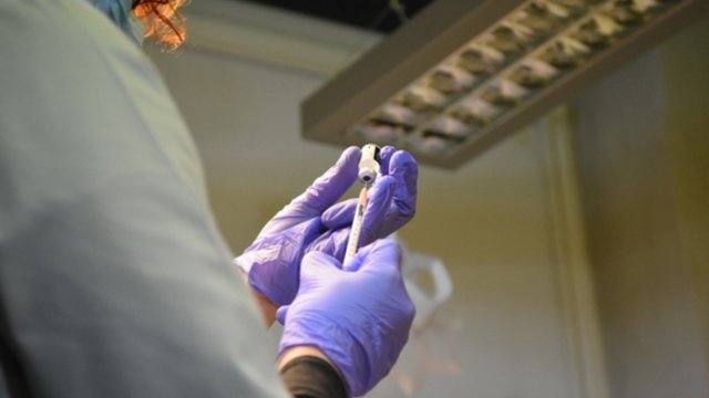 Nyderlanduose sušvirkšta pirmoji koronaviruso vakcina