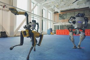 Internete masiškai plinantis video: tik pažiūrėkite, ką išdarinėja šie robotai