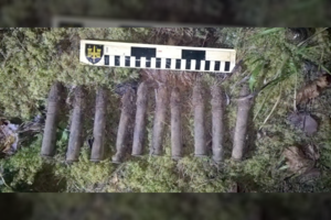 Apleistame name aptiko „tikrą artilerijos sviedinių arsenalą“