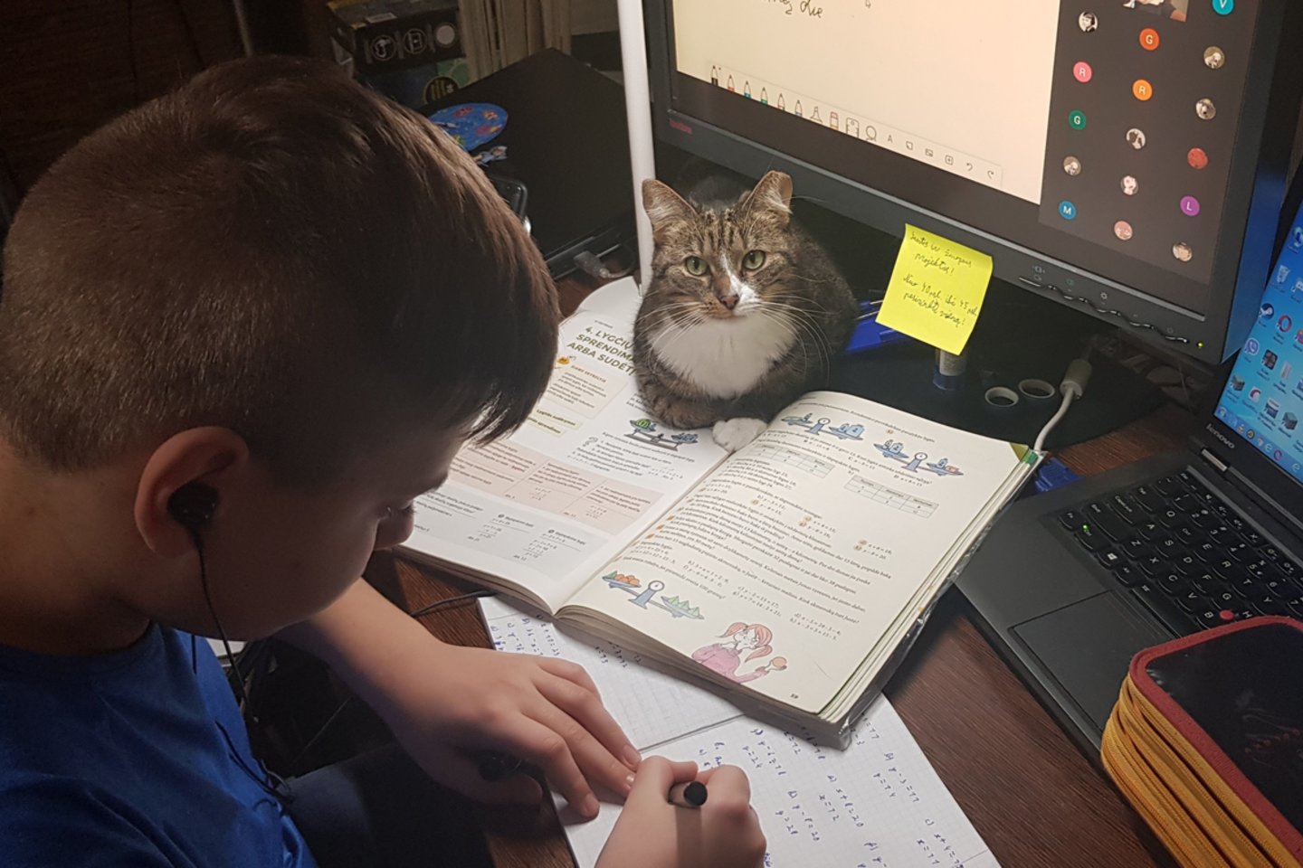 Katė Milė nori mokytis. Dažnai dalyvauja penktokų pamokose, labiausiai patinka matematika. <br>Skaitytojos Rasos nuotr.
