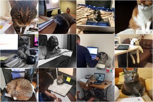 Atgal į biurą skubės ne visi: pasilikti namie vilioja #namųkomandos