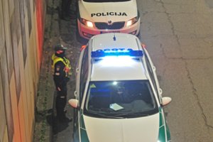 Kauno rajone pasirodęs elektromobilis „Tesla“ iškart tapo taikiniu