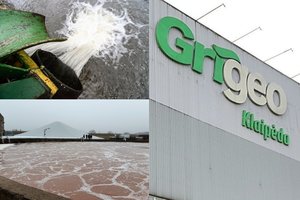 „Grigeo Klaipėda“ vadovams už aplinkos taršą ir dokumentų klastojimą gresia iki 6 metų nelaisvės