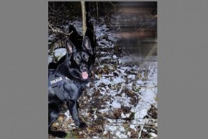 Dingęs vyras rastas keturkojo pėdsekio pagalba