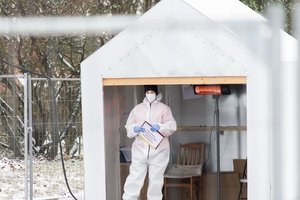 Mažėja teigiamų atsakymų dalis tiriant gyventojus dėl COVID-19