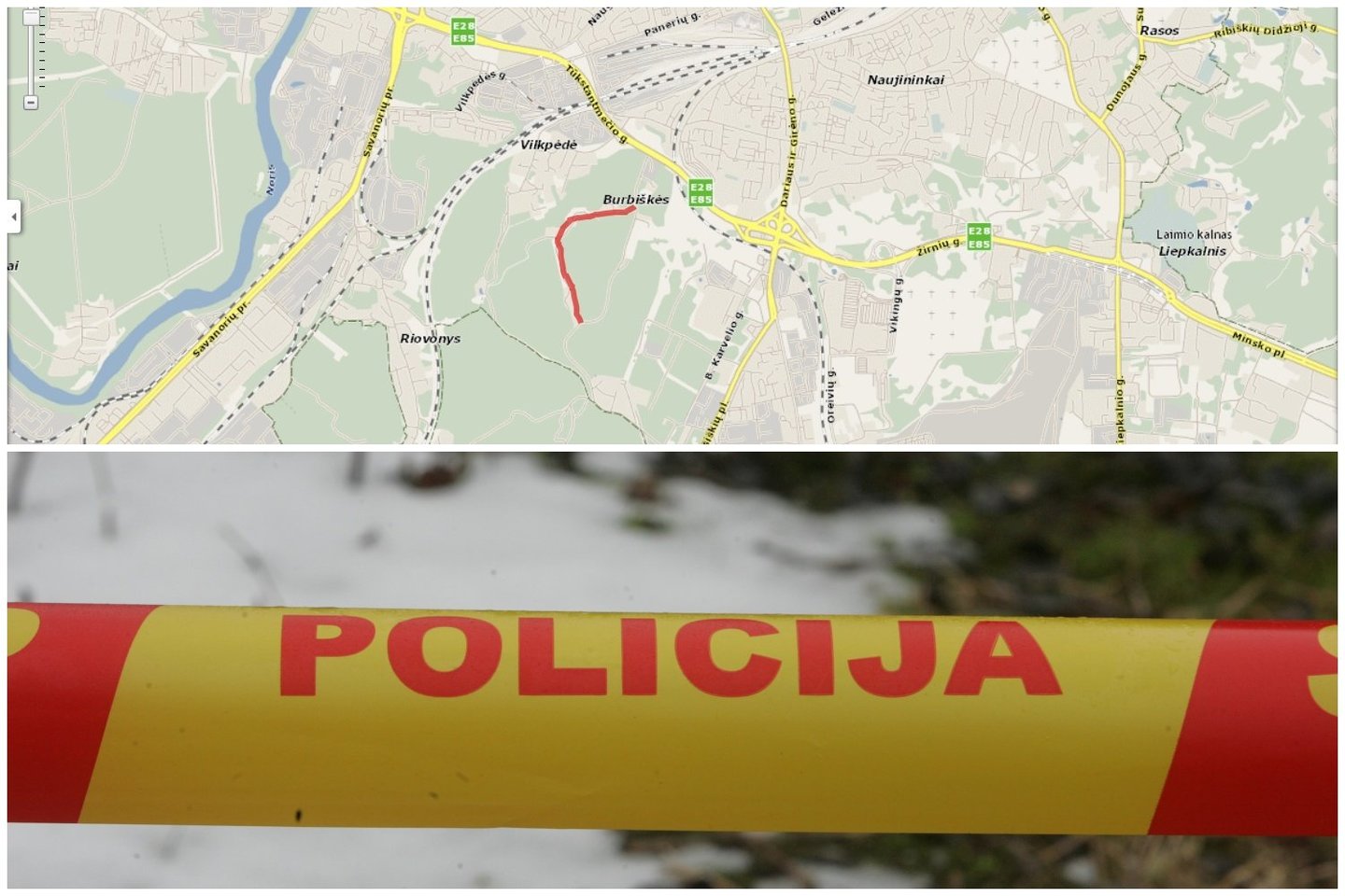 Bartų g. Vilniuje yra nuošalioje vietoje, apsupta miškelių.