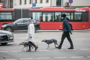 Naujausi mobilumo duomenys: kaip vilniečiai judėjo pirmąją metų savaitę?