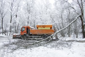 Žiemos pasaka greitai nesibaigs: į Lietuvą atkeliauja pūgos