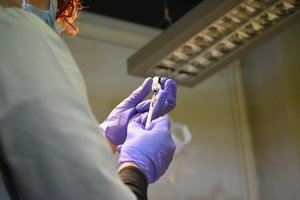 Generalinė prokuratūra paves STT ištirti galimus vakcinavimo tvarkos pažeidimų atvejus