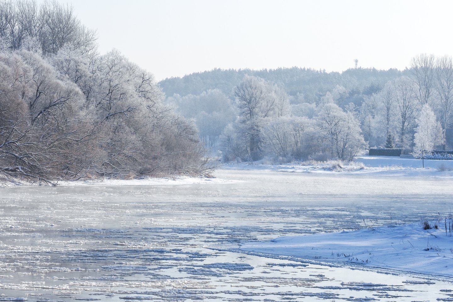 Po ilgo laiko į Lietuvą atėjo tikra žiema.<br>V.Ščiavinsko nuotr.
