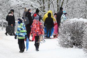 Žiemos pramogų išsiilgę lietuviai šluoja rogutes: pardavimai išaugo 70 kartų