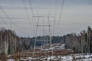 Per savaitę biržoje pakilusi elektros kaina verčia susigūžti  