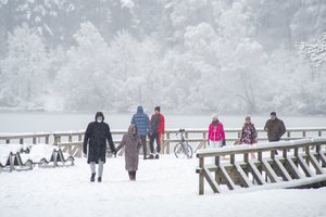 Lietuvos vyriausioji epidemiologė: du rodikliai rodo teigiamus ženklus, tačiau 13 savivaldybių situacija blogėja