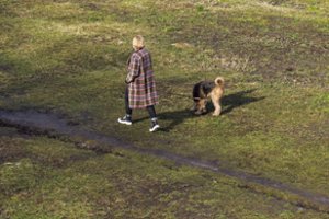 Šeimos pasivaikščiojimas su šuniu Kėdainių rajone baigėsi nelaime