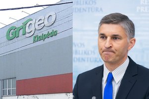 J. Neverovičius: „Grigeo Klaipėda“ gamtai padaryta žala bus atlyginta, o teršėjas neišvengs atsakomybės