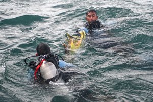 Indonezijos narai surado sudužusio lėktuvo „juodąją dėžę“