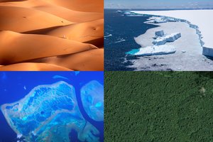 Pasaulio lyderių susitikime nuspręsta: 30 proc. planetos turi būti saugomos teritorijos