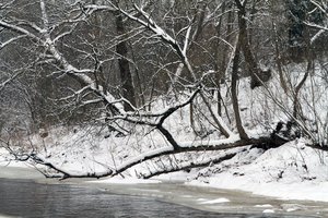 Molėtų r. bandydami gelbėti skęstantį vyrą ugniagesiai įlūžo į ežerą, žmogus nuskendo