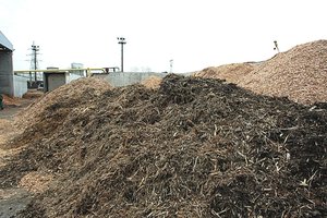 Šildymo grimasos Žemaitijoje – biokuras pigus, bet šiluma joje ir toliau brangsta