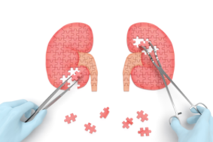 Laisvės gynėjų dieną vienas organų donoras išgelbėjo dvi gyvybes