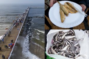 Žvejams – svarbi pareigūnų žinia: tikrina delikatesinių žuvų gaudytojus