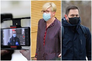 Pirmasis Vyriausybės mėnuo: dėmesio centre – A. Dulkys, mažiausiai matomas D. Kreivys