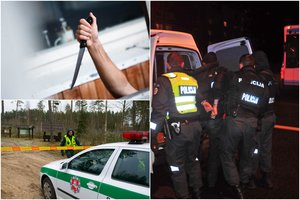 Kraupi egzekucija Žiežmariuose: moteris rasta kraujo klane, 23 metų žudikas peiliu jai smogė 19 kartų