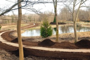 Šiukšlynas Danės senvagėje virto klaipėdiečių gamtos oaze