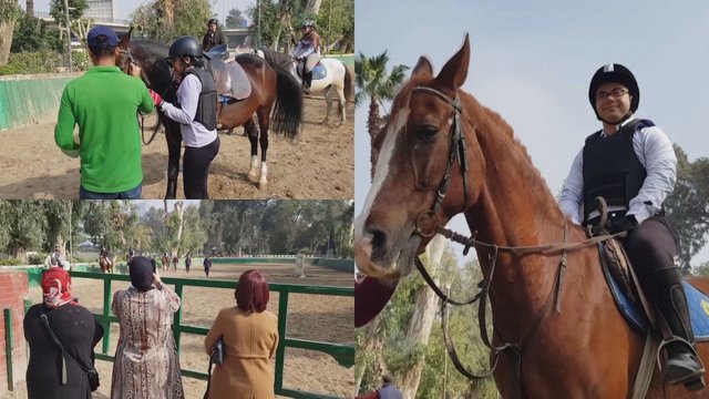 Egipte specialiųjų poreikių vaikams padeda arkliai