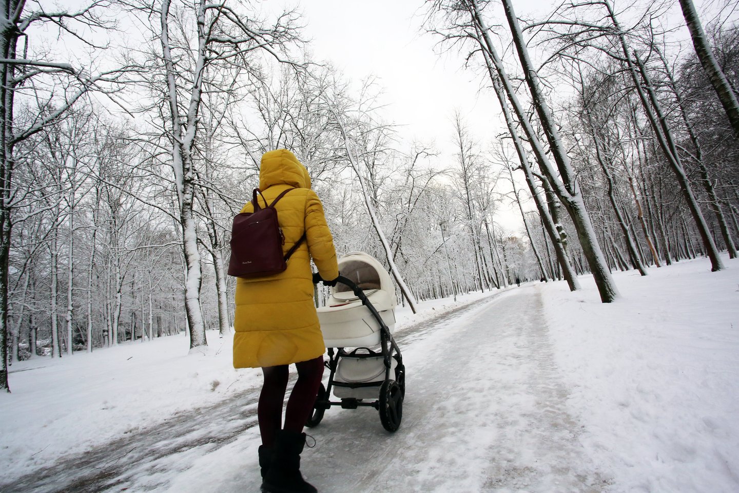 Su kūdikiais iki metų į lauką galima eiti jei šaltukas spaudžia ne daugiau nei -10 laipsnių šalčio.<br>M.Patašiaus nuotr.