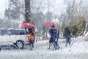 Į Lietuvą ateina permainos: po stingdančio šalčio bangos – kardinalūs pokyčiai atmosferoje