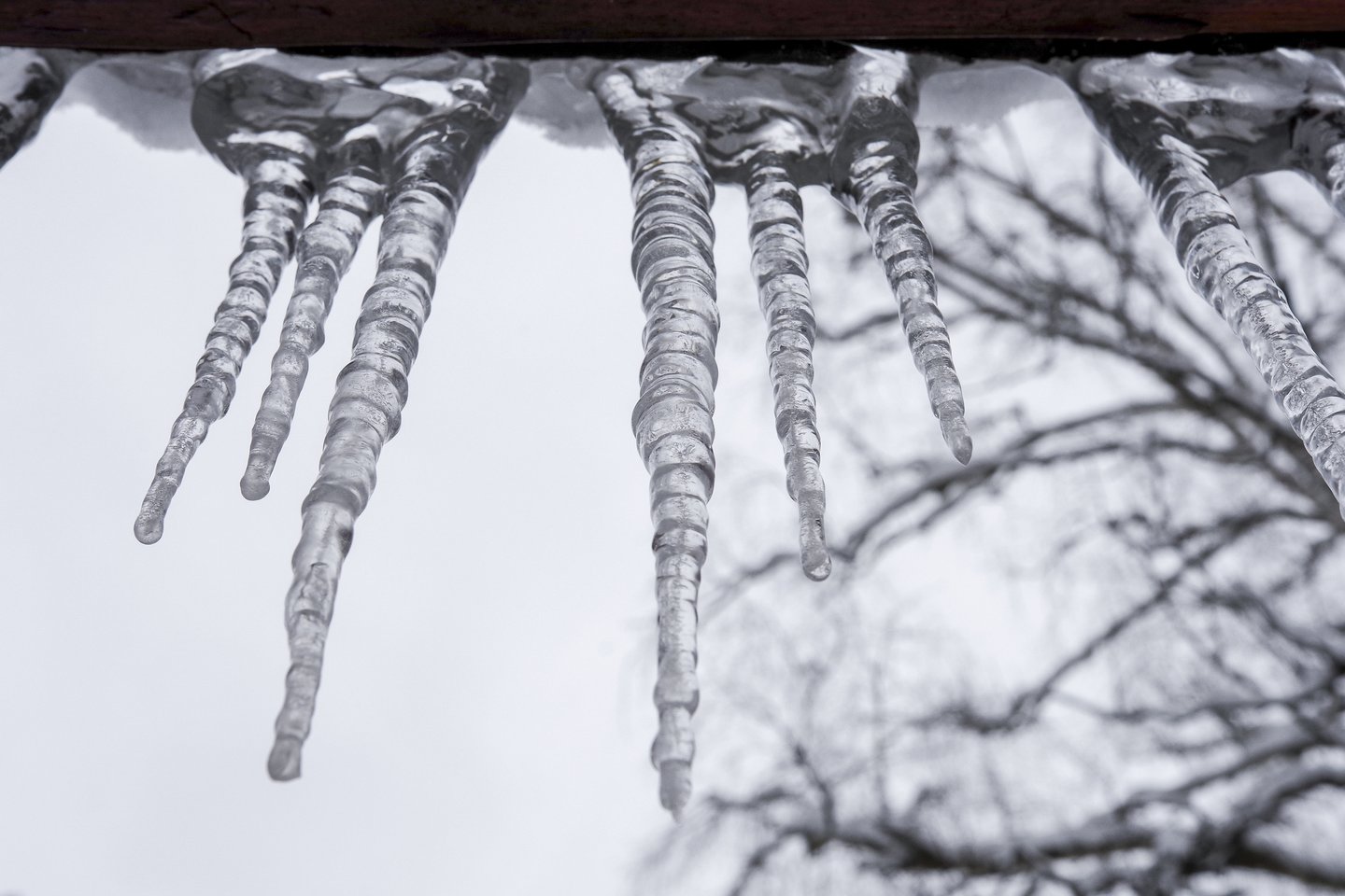 Žiema,sniegas,orai<br>V.Ščiavinsko nuotr.